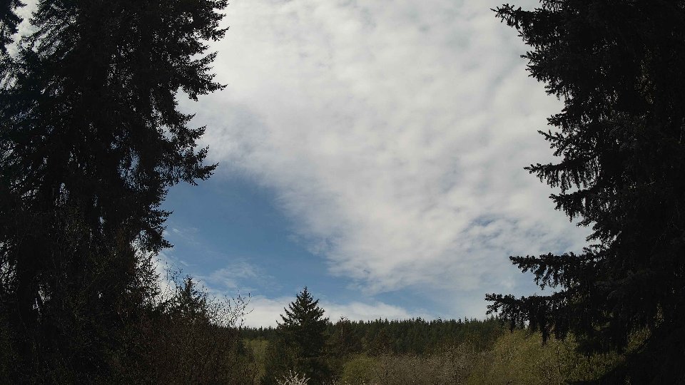 Pacific Northwest skyline timelapse frame from Apr 20th, 2026 at 11:00 AM