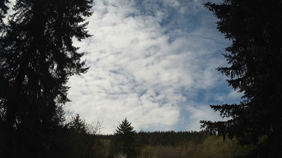Pacific Northwest skyline timelapse frame from Apr 20th, 2026 at 11:15 AM