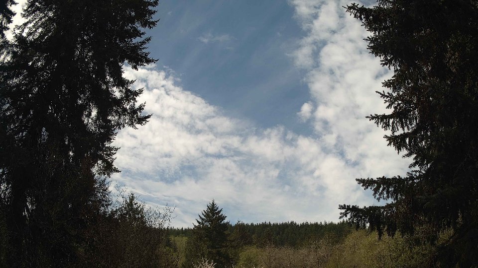 Pacific Northwest skyline timelapse frame from Apr 20th, 2026 at 11:30 AM