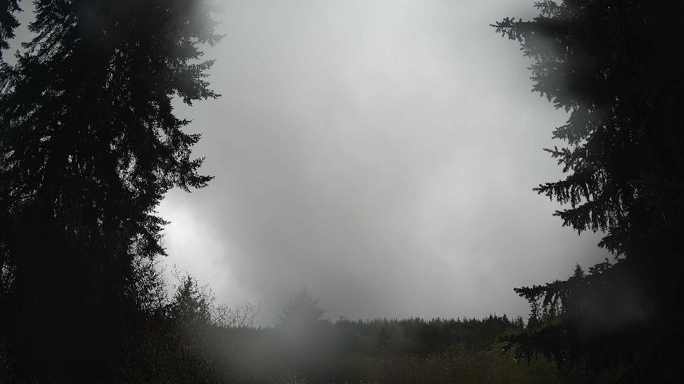 Pacific Northwest skyline timelapse frame from Apr 21st, 2026 at 11:00 AM