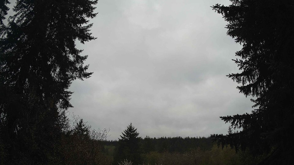 Pacific Northwest skyline timelapse frame from Apr 23rd, 2026 at 8:00 AM