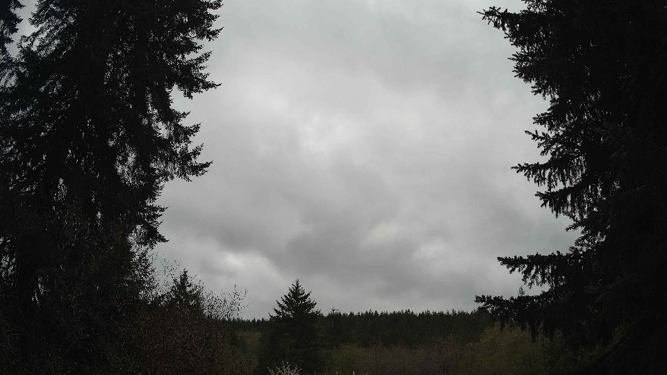 Pacific Northwest skyline timelapse frame from Apr 23rd, 2026 at 12:30 PM