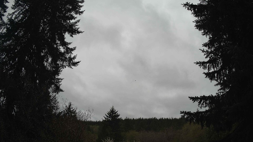 Pacific Northwest skyline timelapse frame from Apr 23rd, 2026 at 2:00 PM