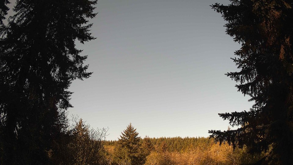 Pacific Northwest skyline timelapse frame from Apr 24th, 2026 at 8:15 AM