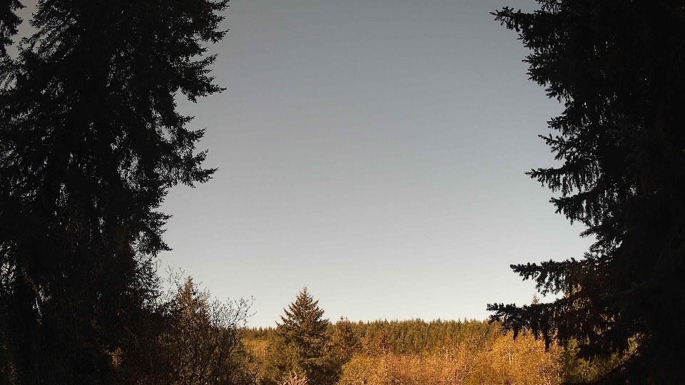 Pacific Northwest skyline timelapse frame from Apr 24th, 2026 at 8:30 AM