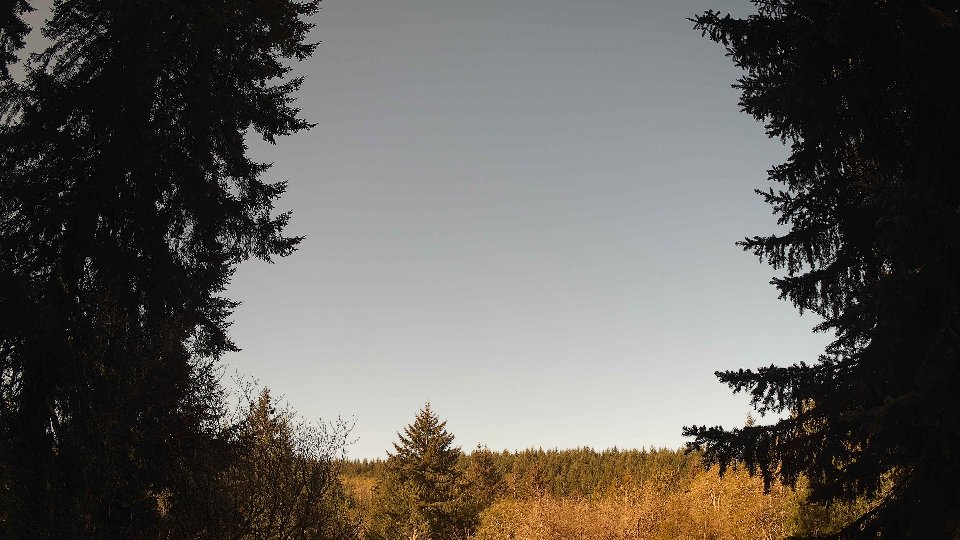 Pacific Northwest skyline timelapse frame from Apr 24th, 2026 at 8:45 AM