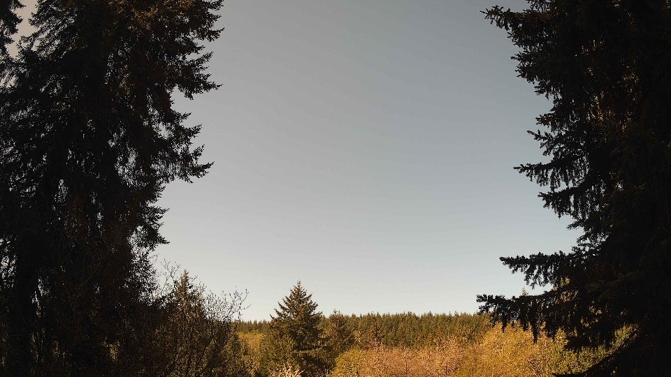Pacific Northwest skyline timelapse frame from Apr 24th, 2026 at 10:00 AM