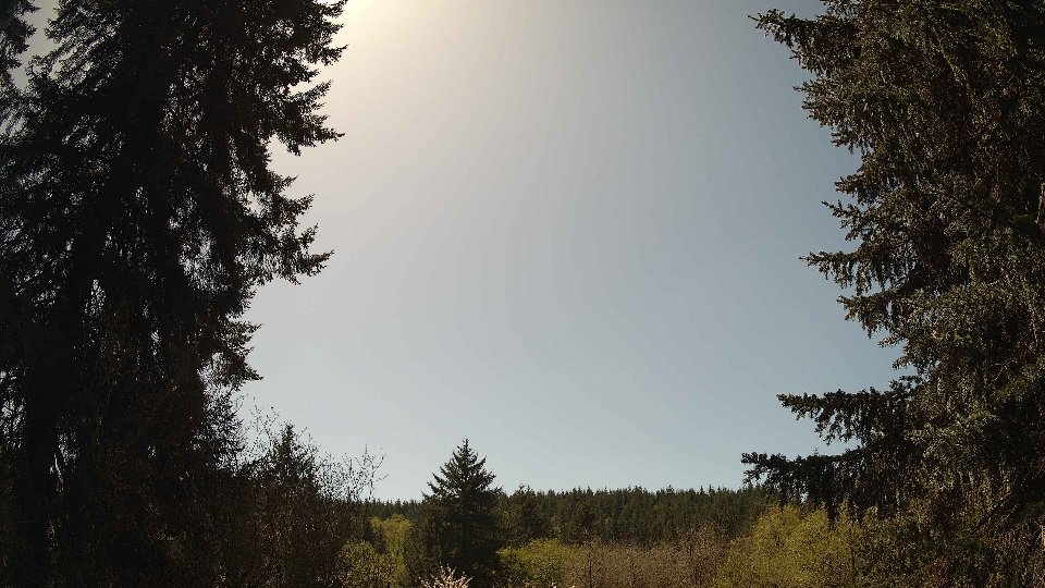 Pacific Northwest skyline timelapse frame from Apr 24th, 2026 at 1:30 PM