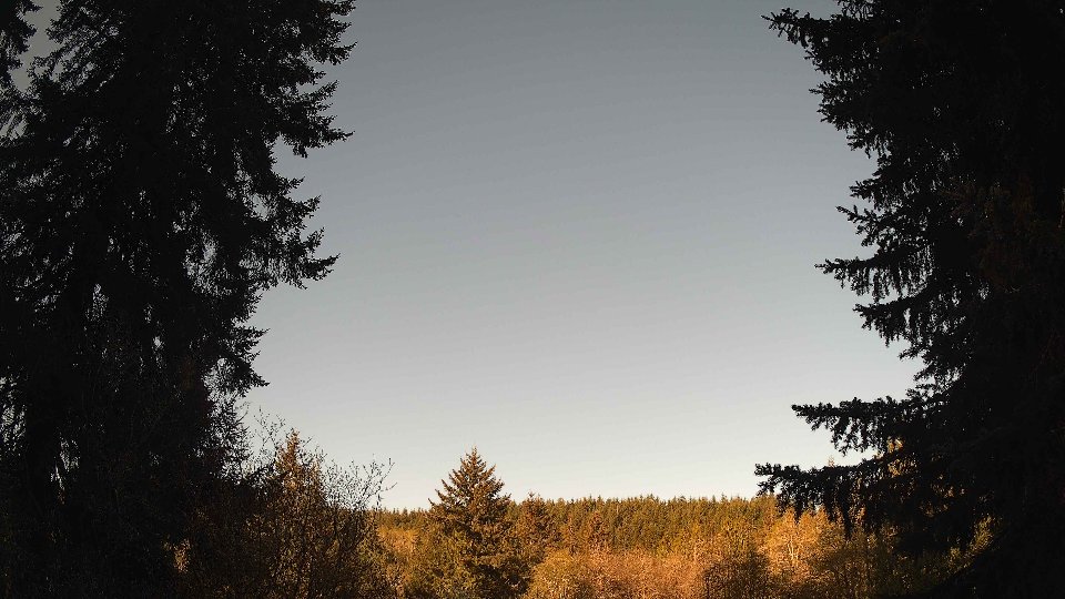Pacific Northwest skyline timelapse frame from Apr 25th, 2026 at 8:00 AM