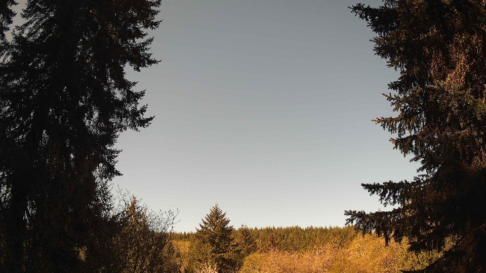 Pacific Northwest skyline timelapse frame from Apr 25th, 2026 at 9:30 AM