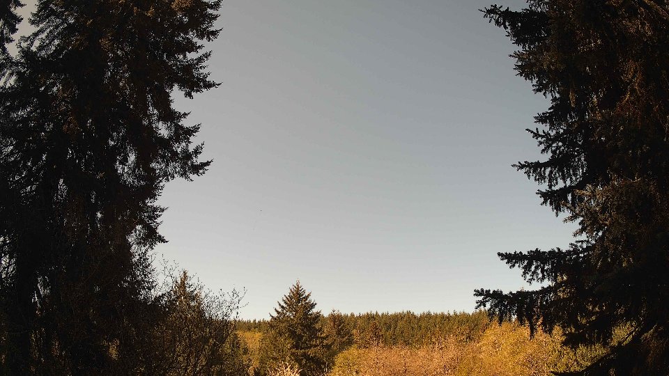 Pacific Northwest skyline timelapse frame from Apr 25th, 2026 at 10:15 AM