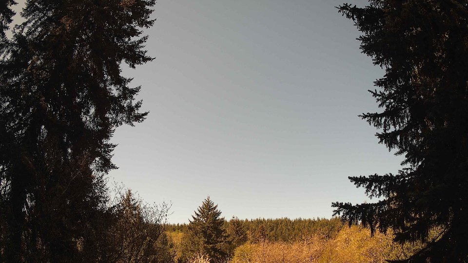 Pacific Northwest skyline timelapse frame from Apr 25th, 2026 at 10:30 AM