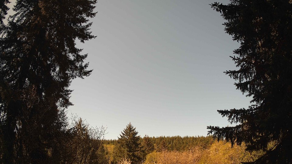 Pacific Northwest skyline timelapse frame from Apr 25th, 2026 at 10:45 AM