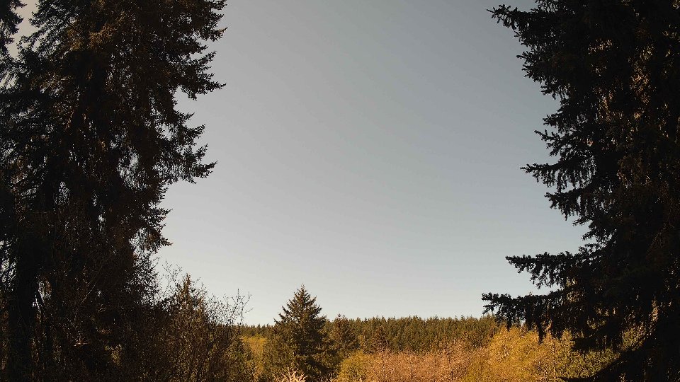 Pacific Northwest skyline timelapse frame from Apr 25th, 2026 at 11:00 AM