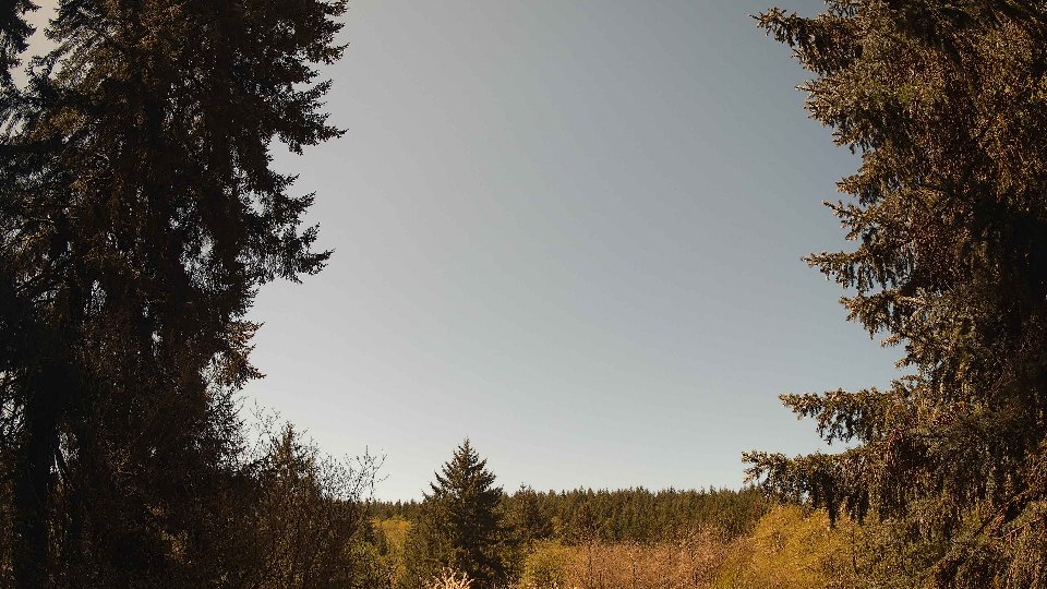 Pacific Northwest skyline timelapse frame from Apr 25th, 2026 at 11:45 AM