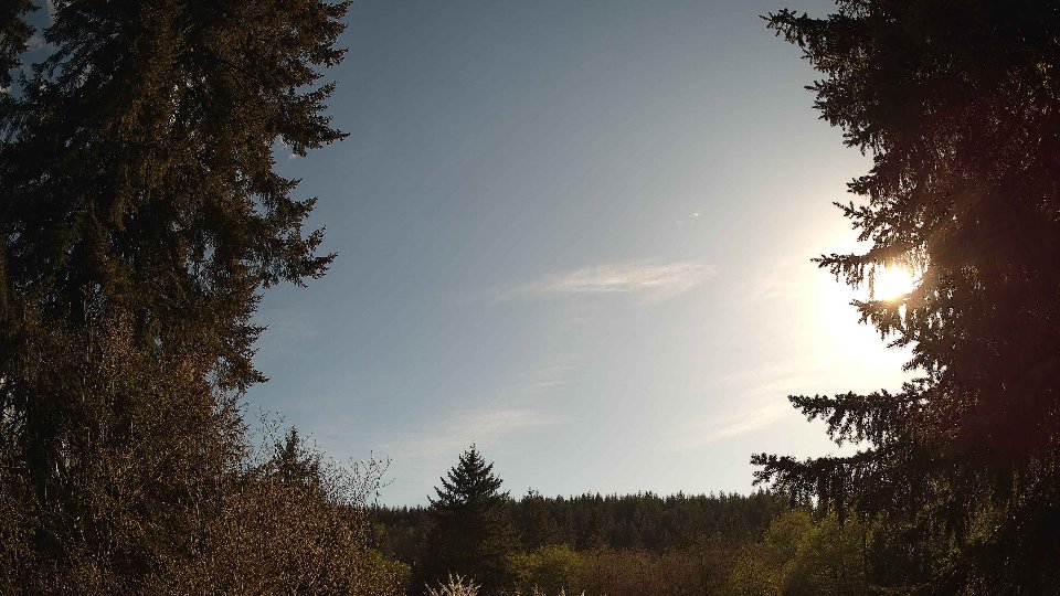 Pacific Northwest skyline timelapse frame from Apr 25th, 2026 at 5:30 PM