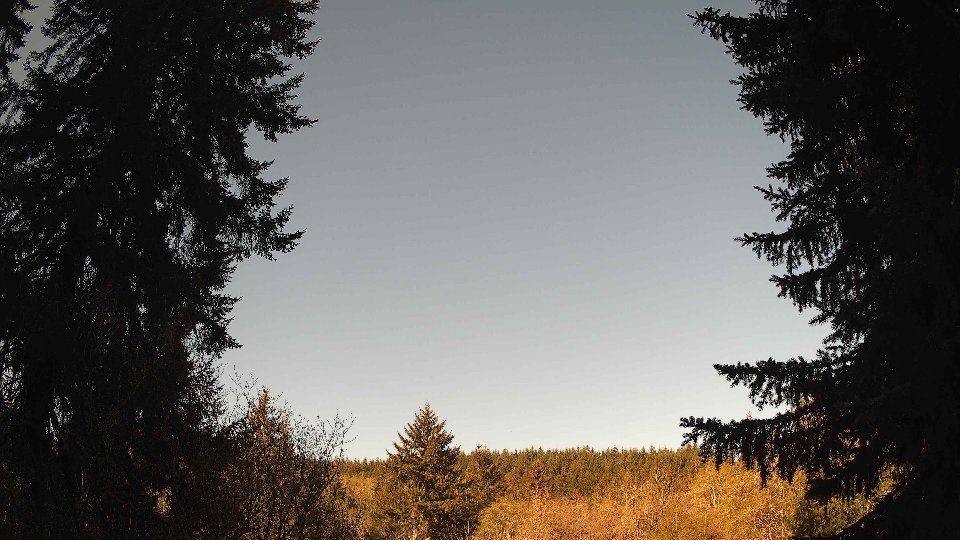 Pacific Northwest skyline timelapse frame from Apr 26th, 2026 at 8:45 AM