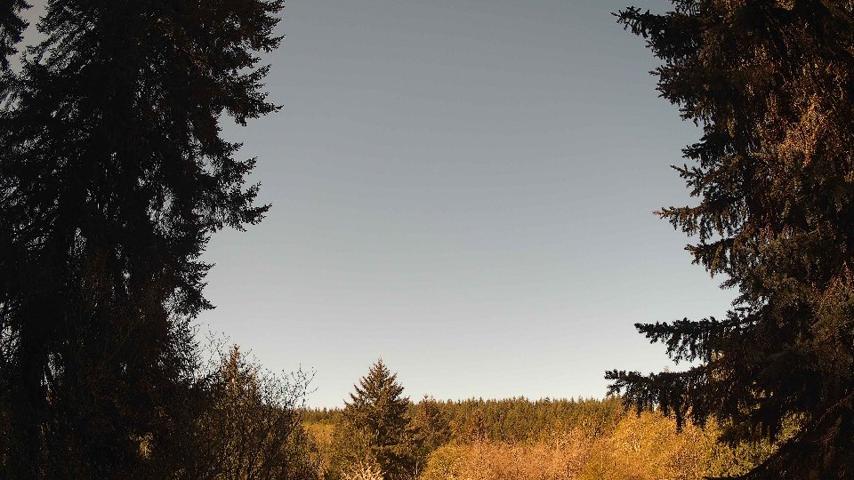 Pacific Northwest skyline timelapse frame from Apr 26th, 2026 at 9:30 AM