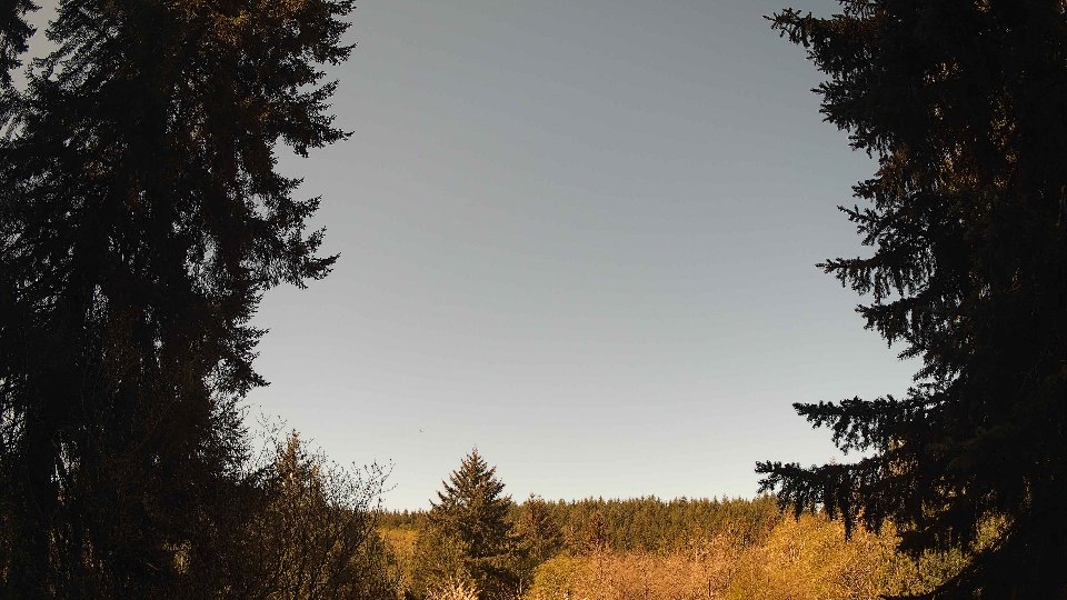 Pacific Northwest skyline timelapse frame from Apr 26th, 2026 at 10:00 AM