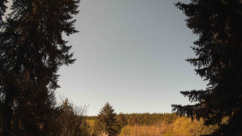 Pacific Northwest skyline timelapse frame from Apr 26th, 2026 at 10:45 AM