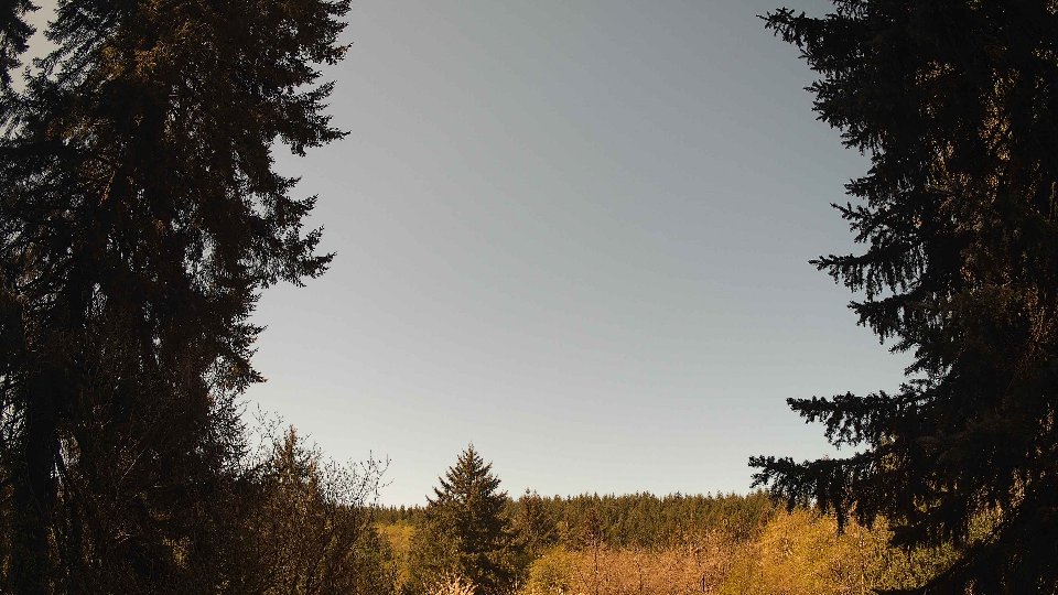 Pacific Northwest skyline timelapse frame from Apr 26th, 2026 at 11:00 AM