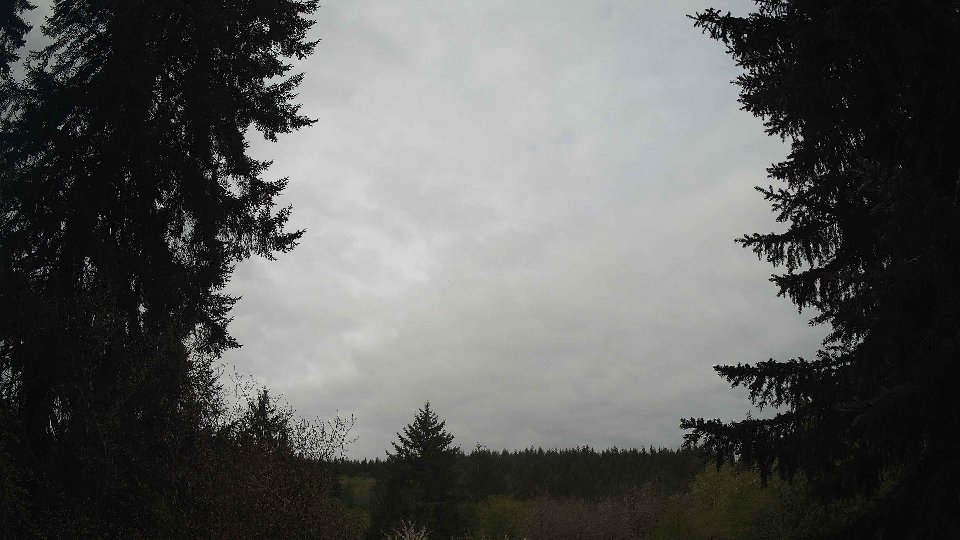 Pacific Northwest skyline timelapse frame from Apr 28th, 2026 at 10:00 AM