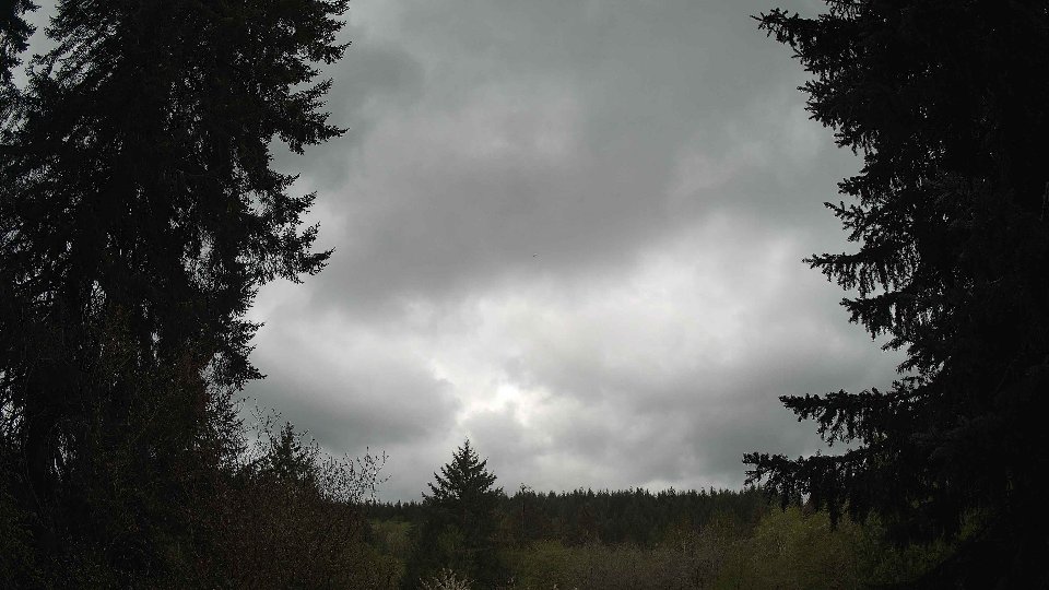 Pacific Northwest skyline timelapse frame from Apr 28th, 2026 at 2:00 PM