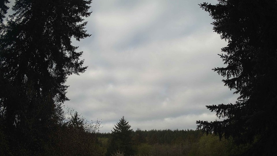 Pacific Northwest skyline timelapse frame from Apr 29th, 2026 at 8:00 AM