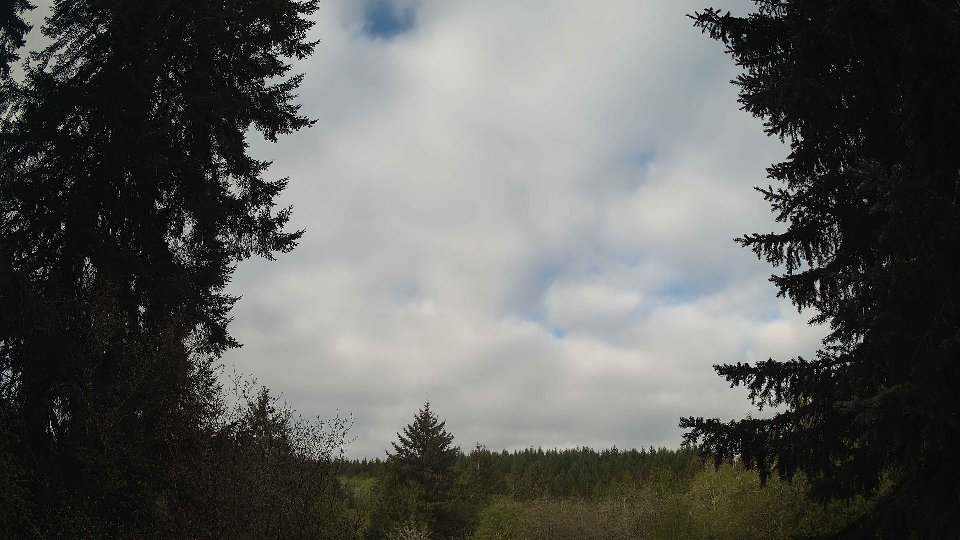Pacific Northwest skyline timelapse frame from Apr 29th, 2026 at 8:15 AM