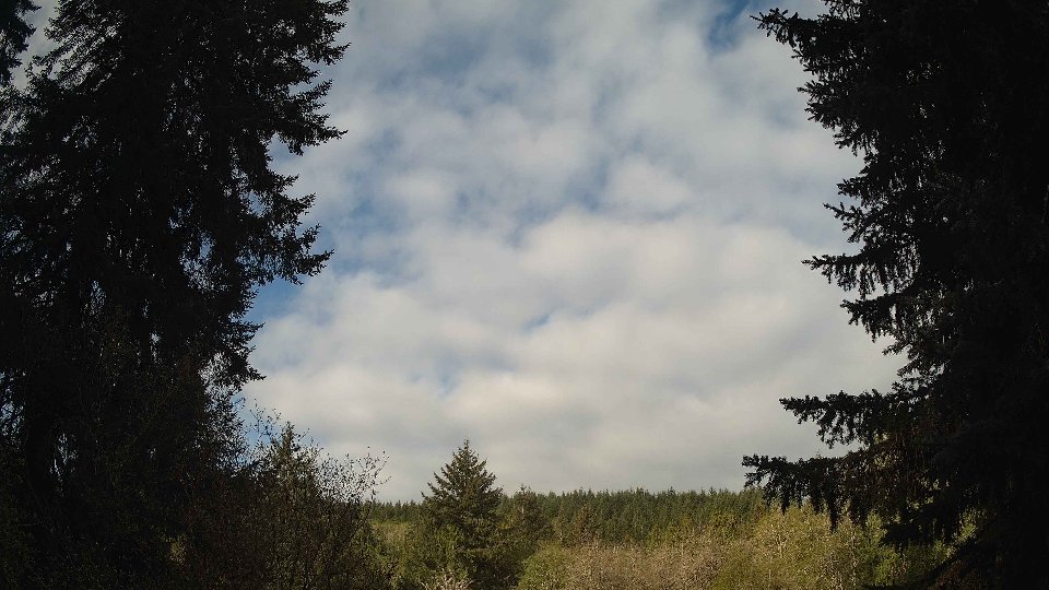 Pacific Northwest skyline timelapse frame from Apr 29th, 2026 at 8:30 AM