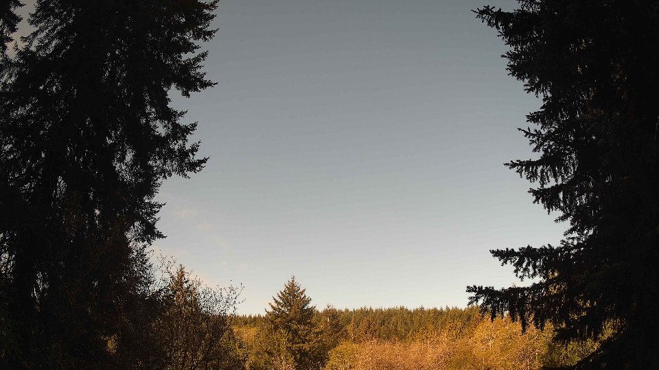 Pacific Northwest skyline timelapse frame from Apr 29th, 2026 at 8:45 AM