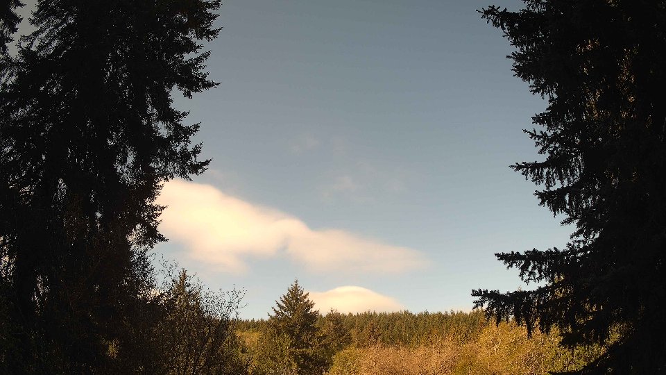 Pacific Northwest skyline timelapse frame from Apr 29th, 2026 at 9:15 AM