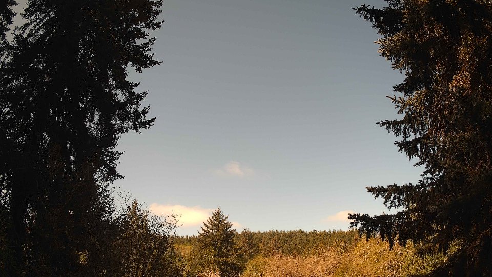 Pacific Northwest skyline timelapse frame from Apr 29th, 2026 at 9:30 AM
