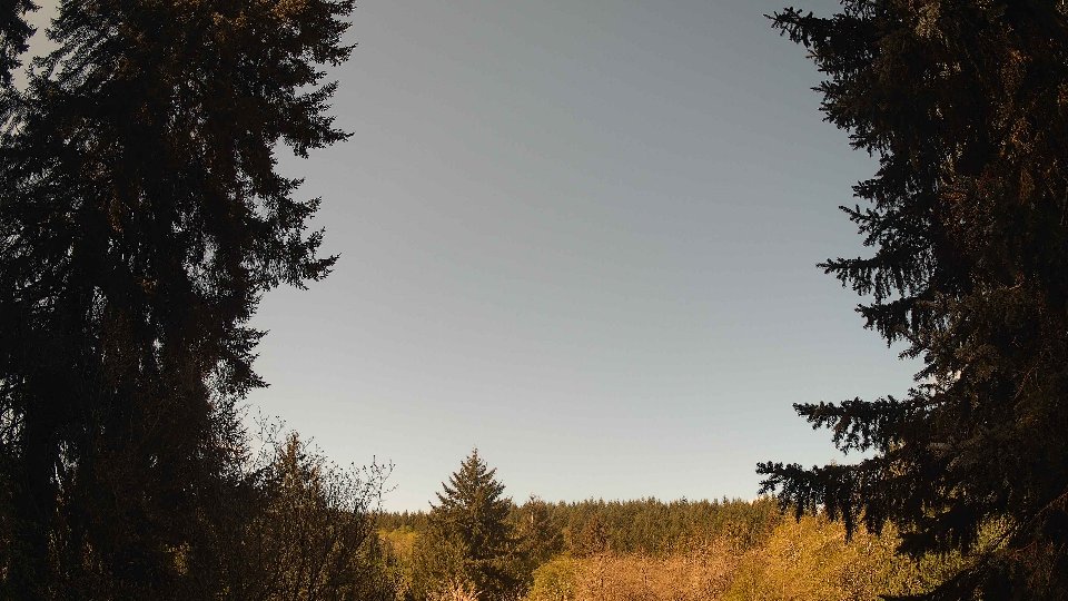 Pacific Northwest skyline timelapse frame from Apr 29th, 2026 at 10:15 AM