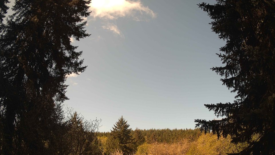 Pacific Northwest skyline timelapse frame from Apr 29th, 2026 at 10:30 AM