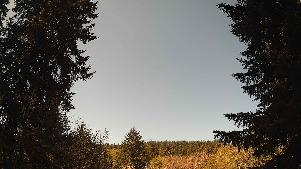 Pacific Northwest skyline timelapse frame from Apr 29th, 2026 at 10:45 AM