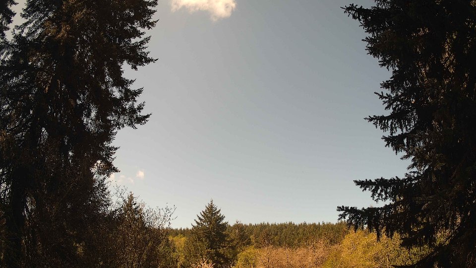Pacific Northwest skyline timelapse frame from Apr 29th, 2026 at 11:00 AM