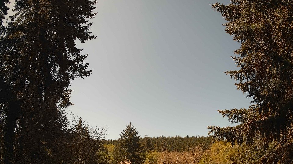 Pacific Northwest skyline timelapse frame from Apr 29th, 2026 at 11:45 AM