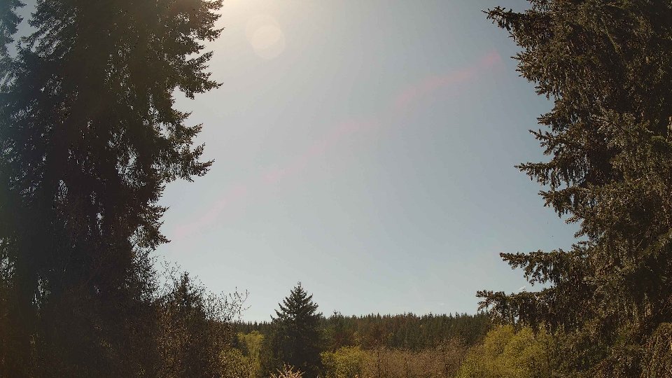 Pacific Northwest skyline timelapse frame from Apr 29th, 2026 at 1:45 PM