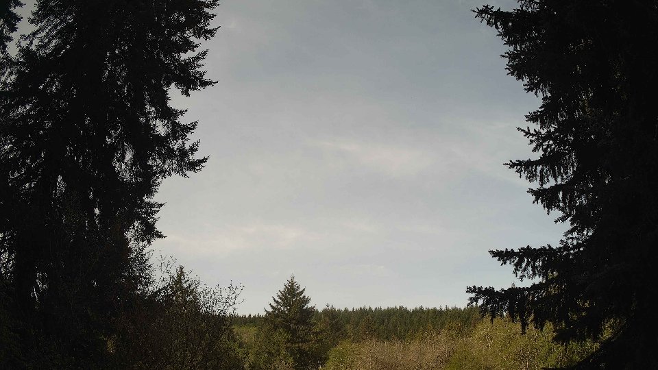 Pacific Northwest skyline timelapse frame from Apr 30th, 2026 at 9:00 AM