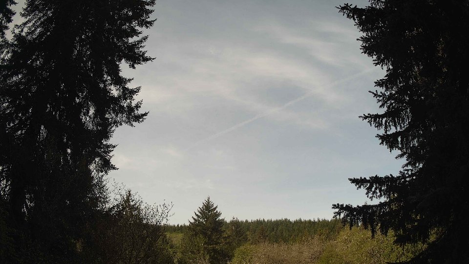 Pacific Northwest skyline timelapse frame from Apr 30th, 2026 at 9:15 AM