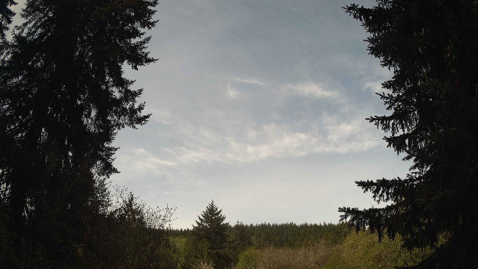 Pacific Northwest skyline timelapse frame from Apr 30th, 2026 at 10:00 AM