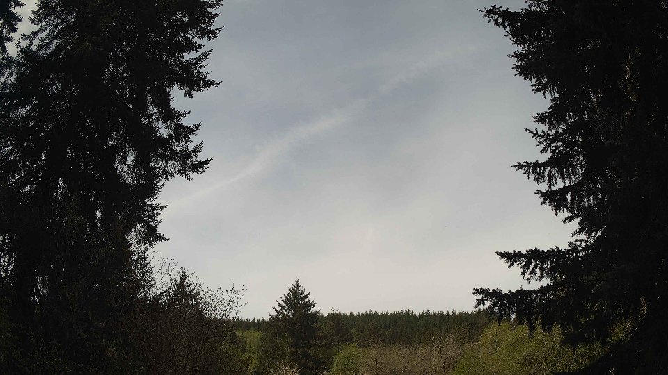 Pacific Northwest skyline timelapse frame from Apr 30th, 2026 at 11:00 AM