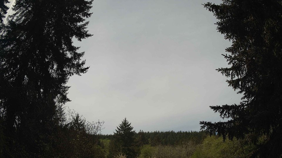 Pacific Northwest skyline timelapse frame from Apr 30th, 2026 at 11:30 AM
