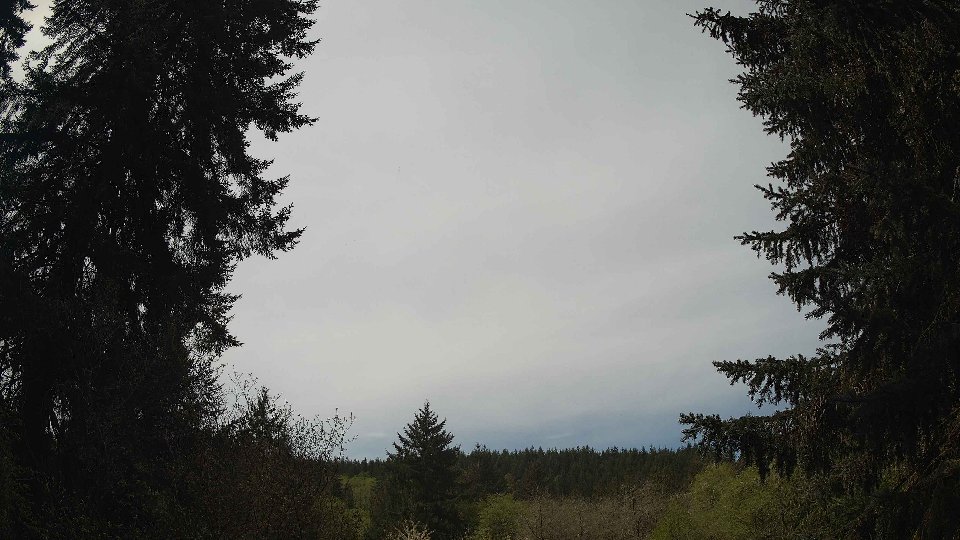 Pacific Northwest skyline timelapse frame from Apr 30th, 2026 at 11:45 AM