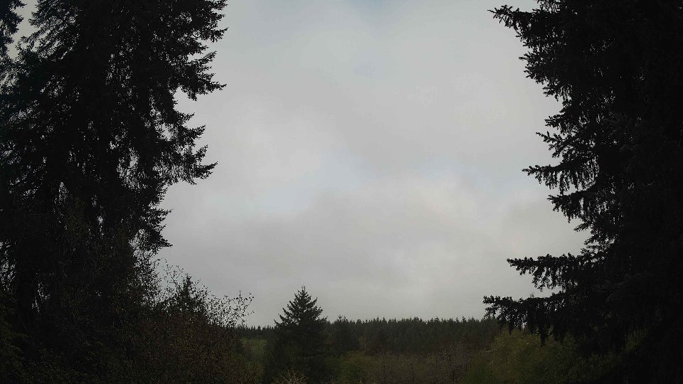 Pacific Northwest skyline timelapse frame from May 1st, 2026 at 8:30 AM