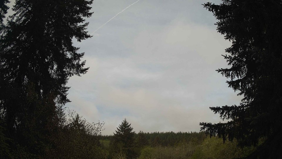 Pacific Northwest skyline timelapse frame from May 1st, 2026 at 9:30 AM