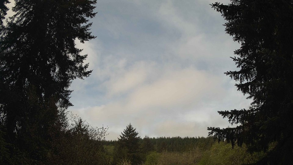 Pacific Northwest skyline timelapse frame from May 1st, 2026 at 10:00 AM