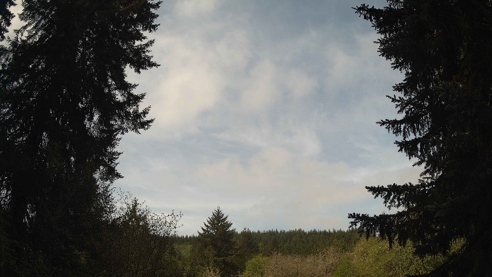 Pacific Northwest skyline timelapse frame from May 1st, 2026 at 10:15 AM