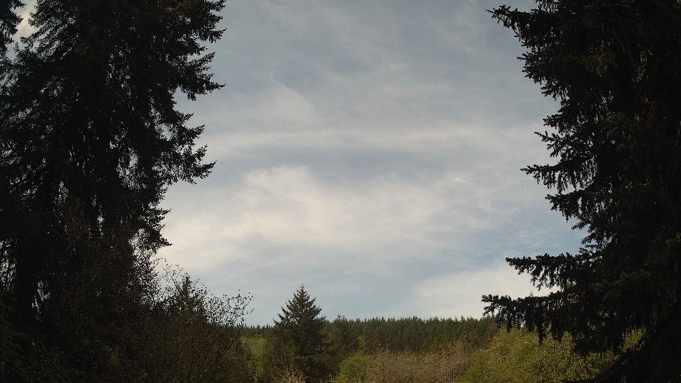 Pacific Northwest skyline timelapse frame from May 1st, 2026 at 10:30 AM